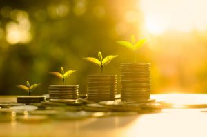 growing small business revenue